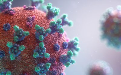 ¿Puede el coronavirus propagarse a través del agua, alimentos y mascotas?