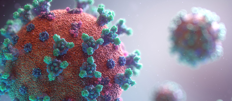 Puede el coronavirus propagarse a través del agua, alimentos, superficies y mascotas